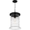 Quoizel Noland Outdoor Hanging 1 Light Matte Black NAD1910MBK - alternate 3